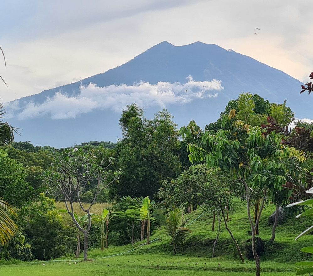 Room With Mountain View