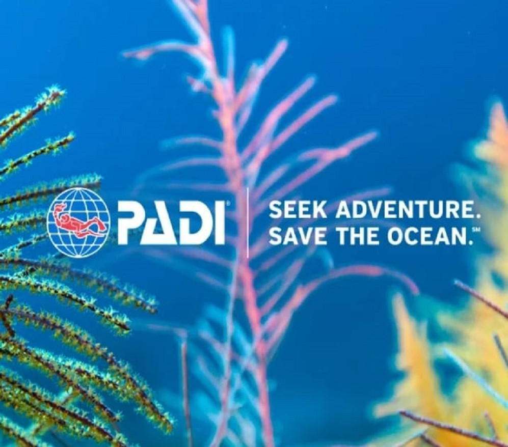 Padi 5 Star Dive Resort